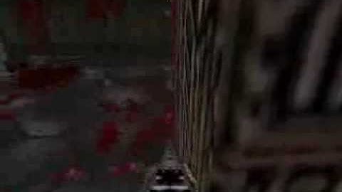 Warning Blood And Gore Included Brutal Doom let