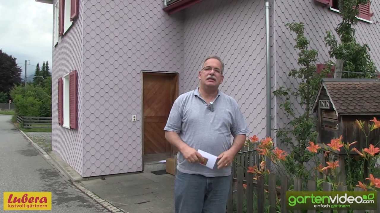 Lubera Pflanzenversand - Wie kommen die Pflanzen zu mir nach Hause