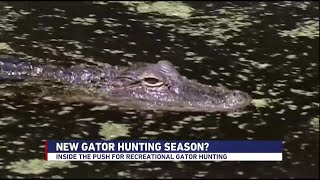 Recreational alligator hunting season proposed in new Louisiana bill