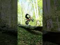 Insane Tree Jump