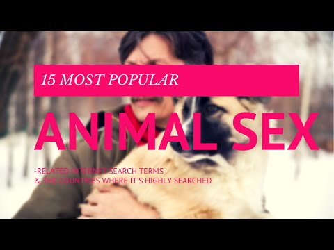 10 Most Popular Animal Sex-Related Internet Search Terms & The Countries Where It's Highly Searched