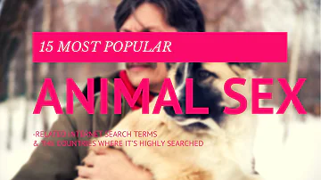 10 Most Popular Animal Sex-Related Internet Search Terms & The Countries Where It's Highly Searched