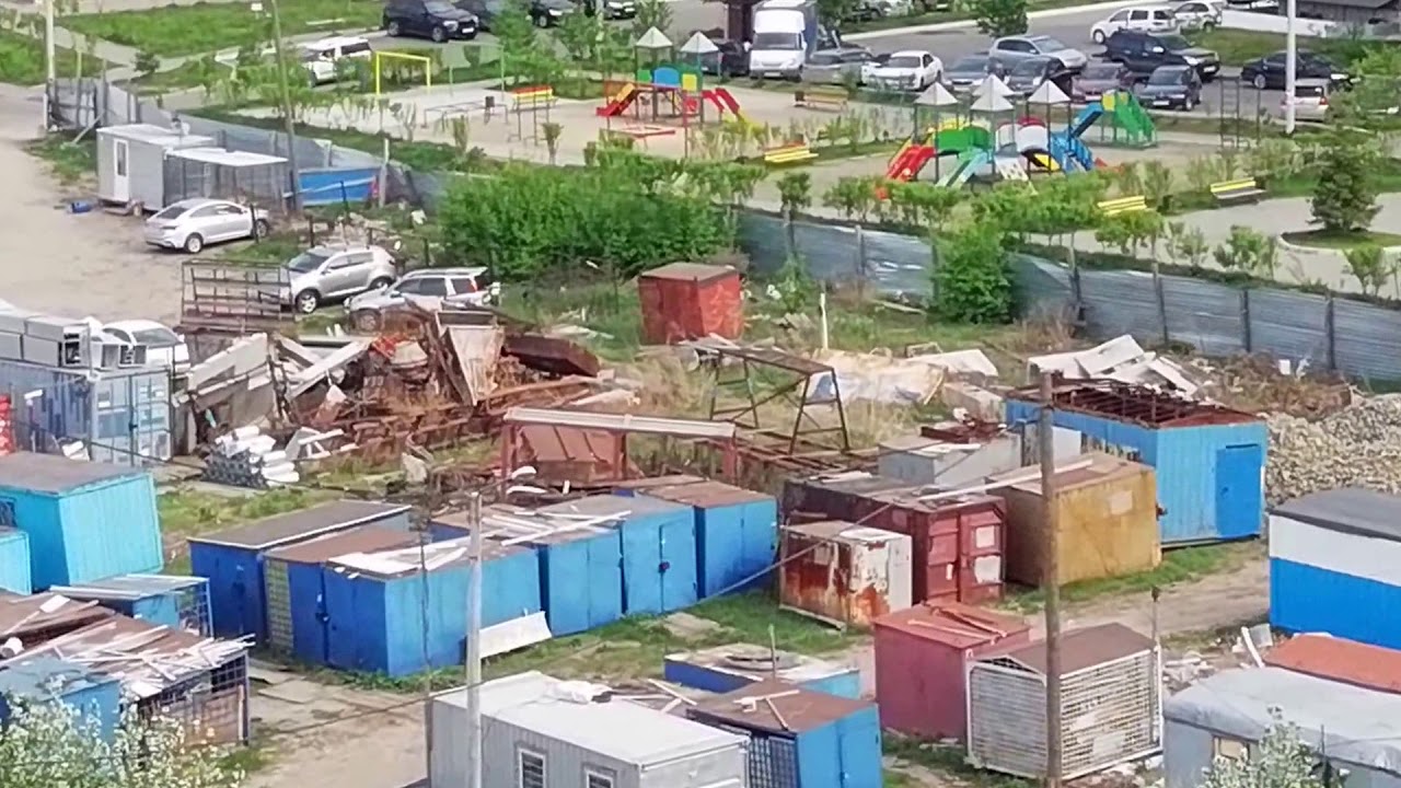 "Стройкинская" собака гуляет по аллее - 2018-06-03 - 16.00 - YouTube