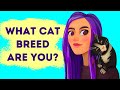 What Kind of Cat Matches You?