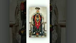 omdada#youtubeshorts #viralvideo #live