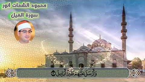سورة الفيل محمود الشحات انور