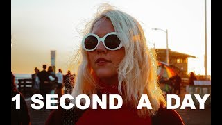 ONE SECOND EVERYDAY 2017