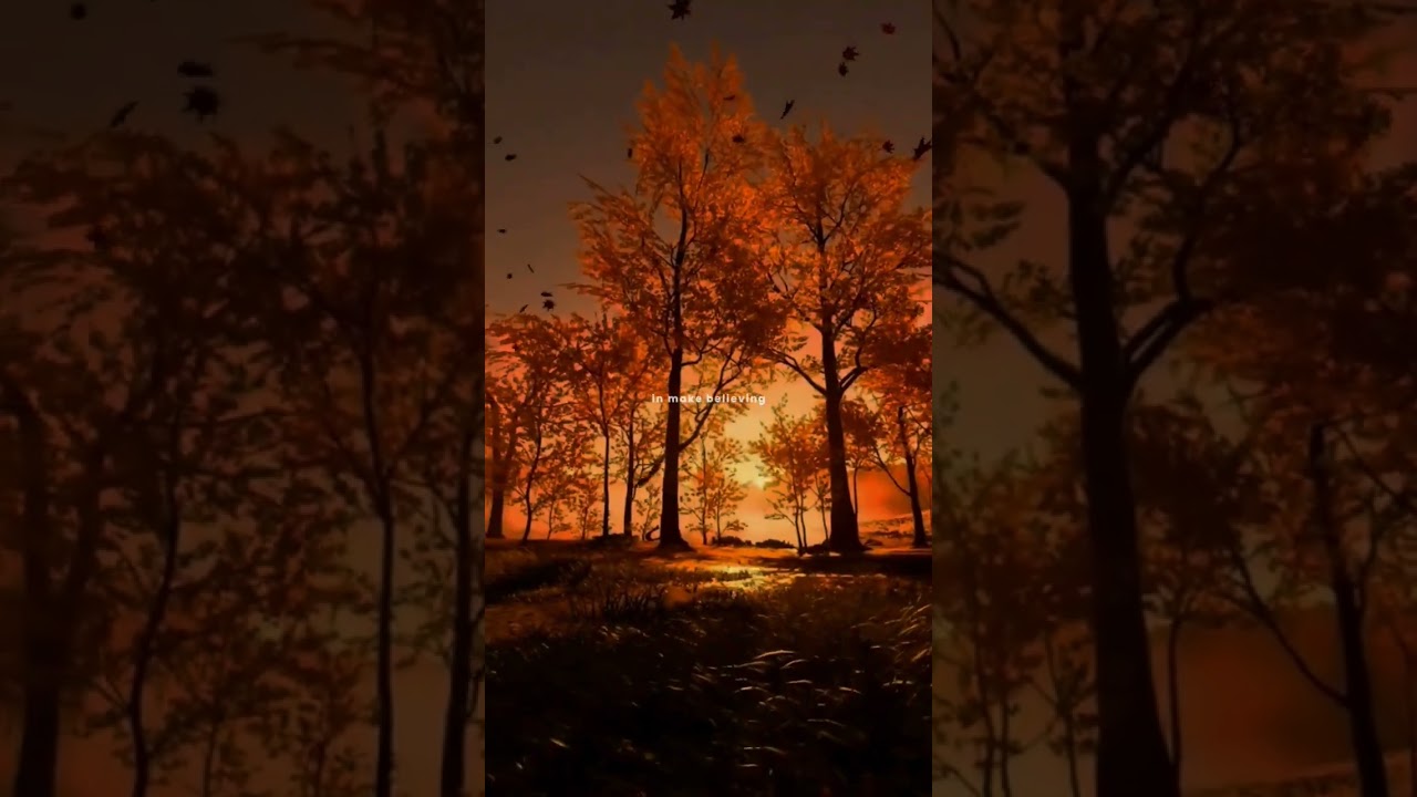 Memories - Conan Gray | Lyrics | aesthetic | Whatsapp status |