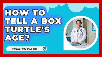 How To Tell A Box Turtle