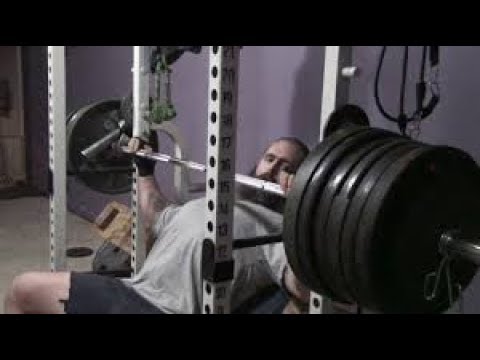athletenschmiede Netherbeast Is Back! Excited For His Next Collab With AlphaDestiny!