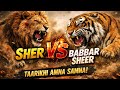 SHER vs BABAR SHAIR🦁 #Scarface  #Machli #Lionvstiger #Tiger #Lion #Champwat #facts 