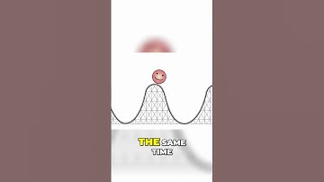 How Do Our Choices Shape Social Interactions? 🤔🌍