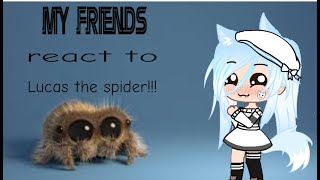 My friends react to Lucas the spider!(look at the desc)