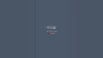 أجمل وأفضل حالات واتس اب دينيه 🖤 قرآن كريم بصوت القارئ : عبدالرحمن مسعد || 🌘😴 ( مقاطع قرآن )😴