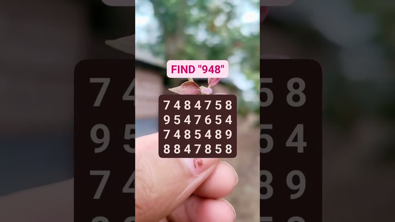 It's so hard to find the hidden  number 948 