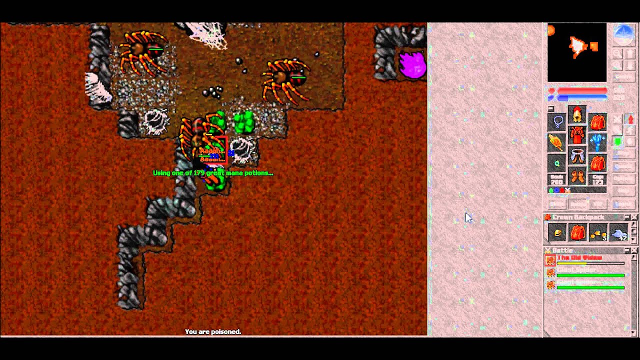 Killing In The Name Of Tibia