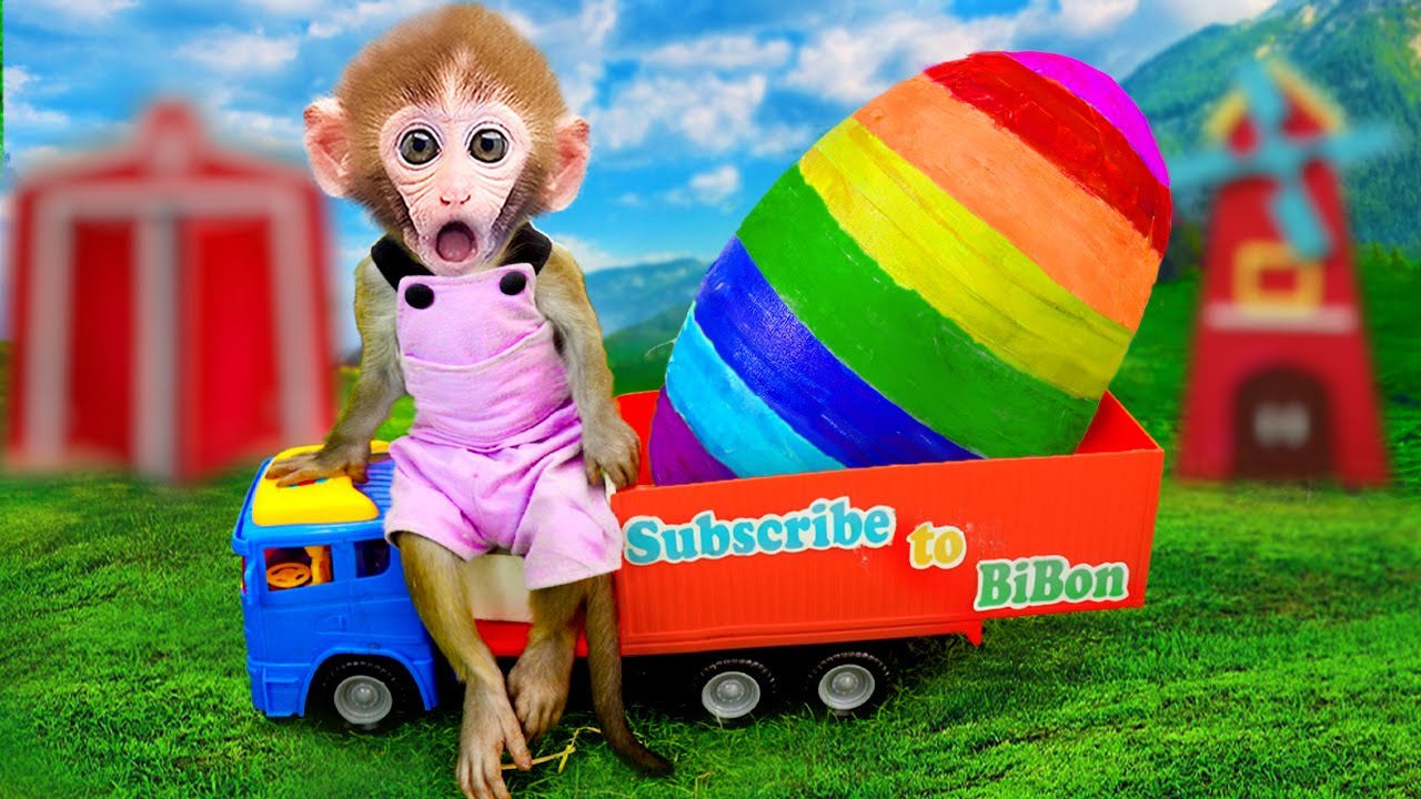 もにまるず ベビー こぶた うりぼう BABY monimoni Animals Monkey Baby Bon Bon Sleeps with five ducklings and bathes