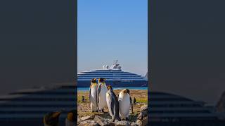 Play video: Getaway Moments | Antarctica and South Georgia | Tina Dalton