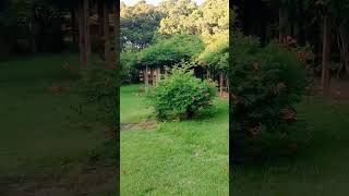 حديقة التجارب النباتية الجزء 1 أكدال الرباط jardin d'essais botanique #حديقة_التجارب_النباتية