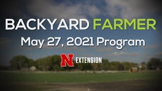 Backyard Farmer May 27, 2021