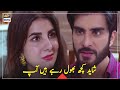 Tum Aaj Bhi Meri Mohabbat Ke Qaidi Ho - Imran Abbas - Best Scene - ARY Digital