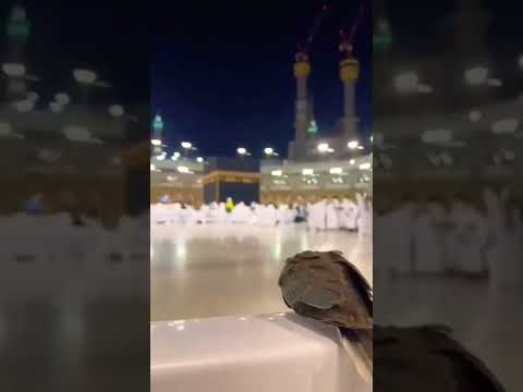 ألعمرة الهي واسع الكرم ورب البيت والحرم Shorts