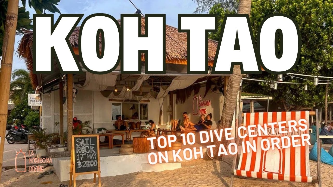Top 10 Dive Centers On Koh Tao In Order