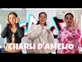 Charli damelio new tiktok compilation