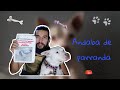 Perdí y encontré a mi perro 1 mes después (story time)