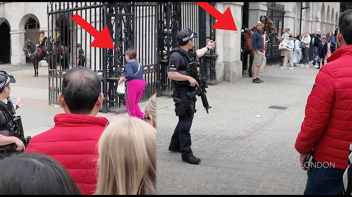 Armed Police Swiftly Stops these 2 IDIOTS INTERVENING during Changing of the Guards.