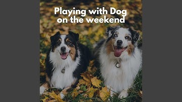 Background for Forgetting Mirrors