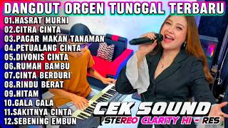 DANGDUT LAWAS ORGEN TUNGGAL 2026 DANGDUT LAWAS PALING ENAK - KUMPULAN LAGU SANTAI TERBAIK TERLARIS