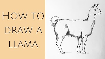 How to draw a llama