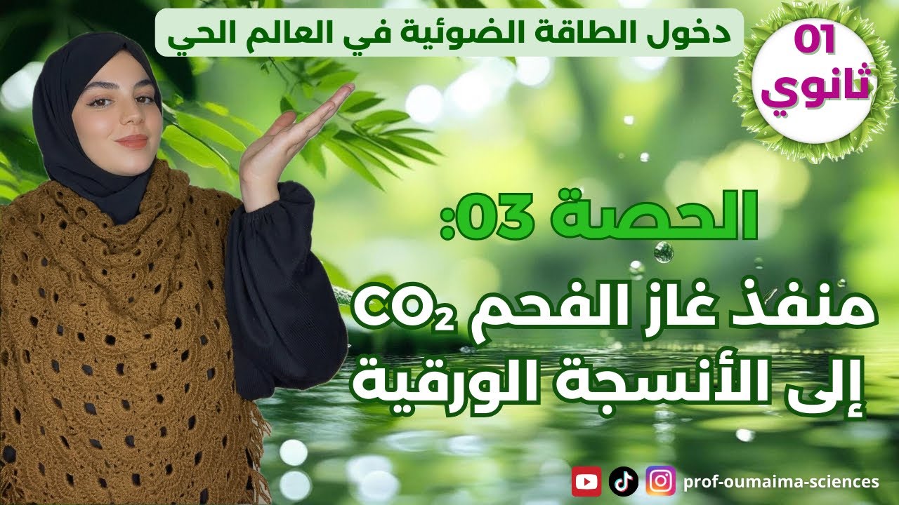 اولى ثانوي🥇الحصة 03🔥منفذ غاز الفحم (CO₂)🌻الى الأنسجة الورقية🍀