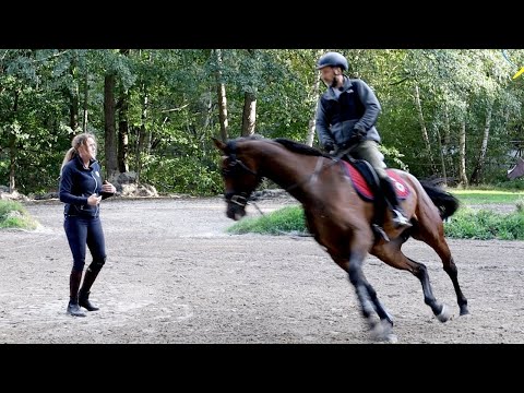 Video: Wie Man Sich Nicht Wie Ein Zertrampeltes Pferd Fühlt, Aktiv Und Fröhlich Bleibt Teil 2