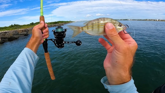 Fishing Florida Saltwater Residential Canals with Live Shrimp