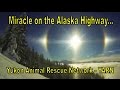 Miracle on the alaska highway 10 dogs saved  please share