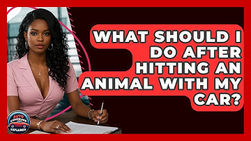 What Should I Do After Hitting An Animal With My Car? - Auto Coverage Explained