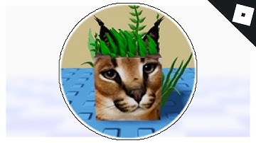 How to get the SEAWEED FLOPPA BADGE & MORPH in FIND THE FLOPPA MORPHS | Roblox