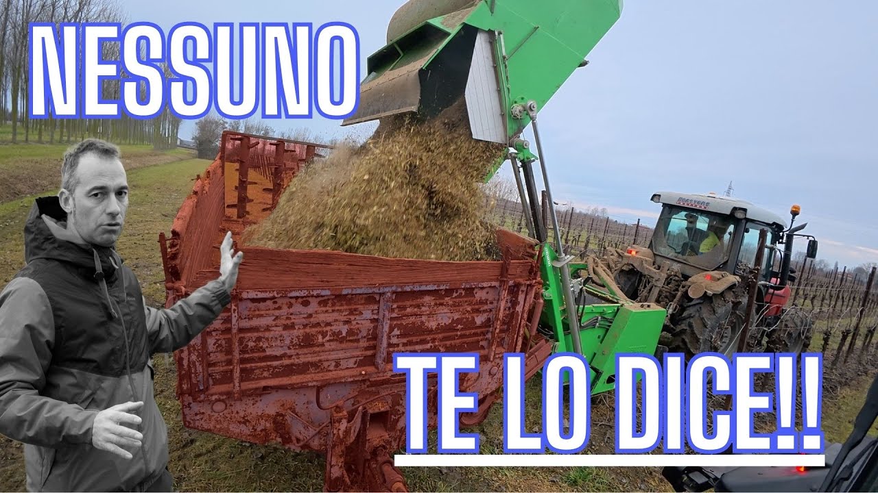Trincia raccogli-sarmenti Peruzzo: come funziona davvero in vigneto