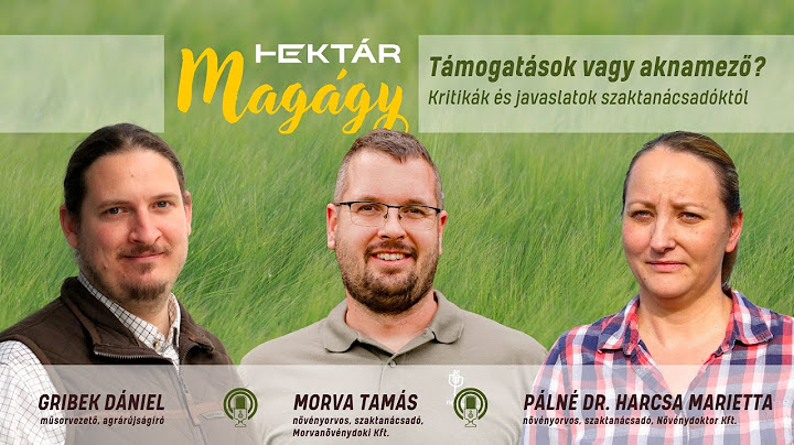 Támogatás vagy bürokratikus aknamező? Súlyos szankciók, beragadt milliók, érthetetlen jegyzőkönyvek