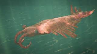 Anomalocaris - Animation