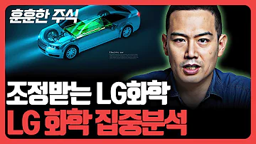 조정받는 LG화학 LG화학 집중분석 기업분석훈련소