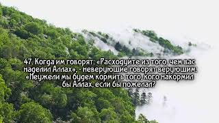 Сура Ясин грустное чтение Корана. Сура «Ясин» помогает решить проблемы?