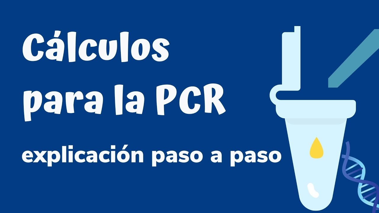 🧬 🥼 REACCIÓN EN CADENA DE LA POLIMERASA (PCR) ¿Cómo se hacen los CALCULOS para el MASTER MIX 🧬 🥼