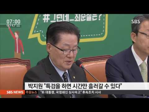 "진상 밝혀야"…특검 가는 '최순실 국정개입' / SBS