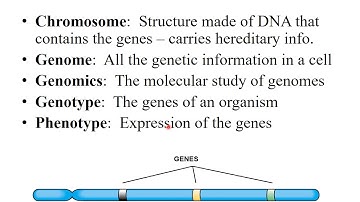 Chapter 8  Microbial Genetics Part 1