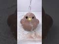 TABA SQUISHY ASMR | Relaxing Slime Videos 1884 #shorts #asmr #slime #taba #tabasquishy #satisfying