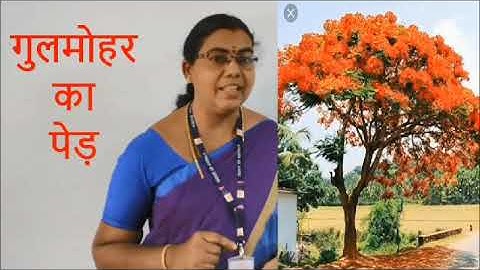 Std 7 Hindi Unit 1 Class 05  White Board ASD