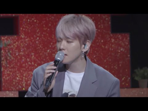 Someone like you 하나뿐인 백현이 라이브 영상/목소리만으로 눈물나는 백현이 목소리